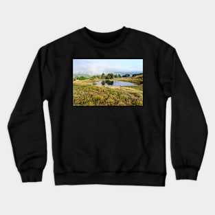 Torver Common Crewneck Sweatshirt